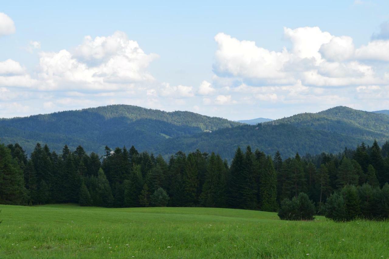 Forrest Apartment Krynica エクステリア 写真