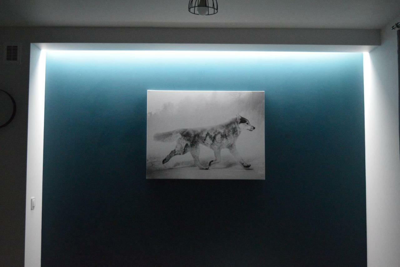 Forrest Apartment Krynica エクステリア 写真